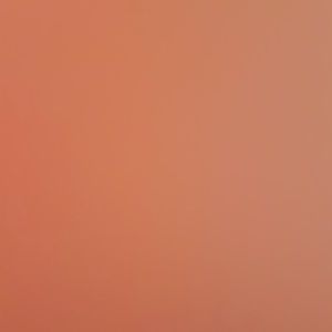 Meet your Posher, Myiesha